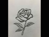 Drawing A Rose Youtube 40 Best How to Draw and Paint A Rose Images Drawing Tutorials