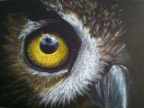 Drawing An Eye On Black Paper Colored Pencil On Black Paper Entitled Eye Of the Owl Art I