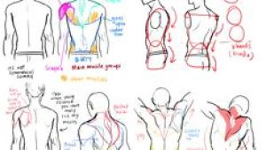 Drawing Anatomy Tumblr 79 Best Male Anatomy Reference Images Figure Drawing Body