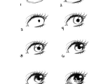 Drawing Anime Eyes Step by Step How to Draw Eye Portrait Step by Step Eyeballs Drawings Art