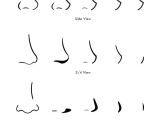 Drawing Anime Noses Drawing Anime Noses How to Draw Anime and Manga Noses Tips On