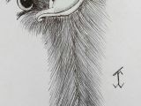 Drawing Bird Eyes Ostrich Painting Drawing Inspo Drawings Pen Art Art