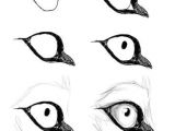 Drawing Bird Eyes Pin by Graveyardbatd On Drawing Refrences Help Pinterest