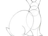 Drawing Bunny Eyes How to Draw A Realistic Bunny Rabbit