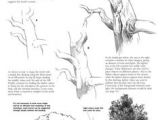Drawing Bushes 86 Best Tutorial How to Draw Realistic Trees Plants Bushes and