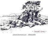 Drawing Bushes Image Result for How to Draw Realistic Trees Plants Bushes and