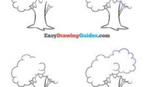 Drawing Cartoon Trees Step by Step 125 Best Drawing Step by Step Tutorials Images Art for Kids Easy