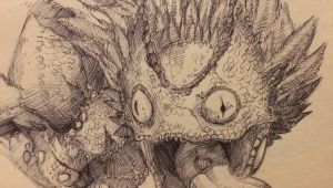 Drawing Cartoons Reddit Pukei Pukei Sketch by Jbob1390 On Reddit Monster Hunter