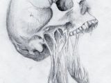 Drawing Cool Skulls Summerdreamz Ink Life Pinterest Drawings Skull Art and Art