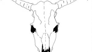 Drawing Cow Skull How to Draw A Cow Skull for Georgia O Keeffe Famous Artist
