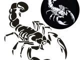 Drawing Cute Scorpion Car Stickers Scratches Shelter Vinyl Cute Scorpion Car Styling Decal