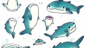 Drawing Cute Whales Whale Sharks by Dakshinadeer Redbubble Derpy Cute Drawings