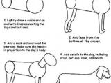Drawing Dog Legs 163 Best How to Draw Dogs Images Drawing Techniques Drawing
