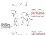 Drawing Dog with Shapes Lion Anatomy Tutorial by It Ktdf Deviantart Com On Deviantart