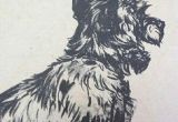 Drawing Dogs Diana Thorne 248 Best Cecil Aldin S Others Vintage Dog Drawings Images Dog