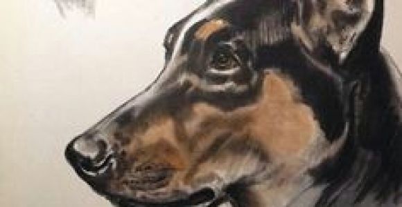 Drawing Dogs Diana Thorne 43 Best Dog Art Images Dog Portraits Vintage Dog Dog Breeds