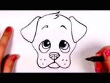 Drawing Dogs Face Cartoon Drawing A Cartoon Tabby Cat Face Art Lessons Pinterest