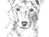 Drawing Dogs Fur Learn How to Draw Your Dog S Portrait In 2018 Candle Pinterest