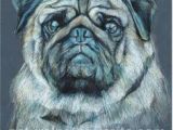 Drawing Dogs with Colored Pencils 15 Best Drawing Of A Dog Images Art Drawings Dog Paintings Drawing S
