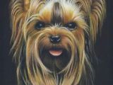 Drawing Dogs with Colored Pencils 65 Best Colored Pencil Dogs I Love Images Drawings Animal