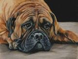 Drawing Dogs with Colored Pencils Colored Pencil Bull Mastiff Dog Drawing by Portraitsbyaleks