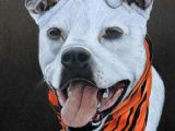Drawing Dogs with Colored Pencils Pet Portrait Colored Pencil Cody Hale Art Dog Art Pinterest