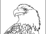Drawing Eagle Eyes Bald Eagle Coloring Page Elegant Unique Coloring Pages Lovely Cool
