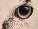 Drawing Eagle Eyes Pin Od Agnes Na Muster Draw Owl Sketch I Sketches