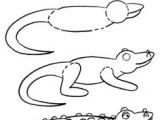 Drawing Easy Alligator 16 Best Alligator Illustrations Images Crocodiles Children S Book