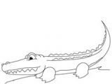 Drawing Easy Alligator 53 Best How to Draw Zoo Animals Images Step by Step Drawing Easy