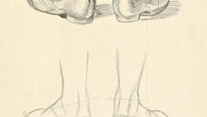Drawing Easy Fist Guide to Drawing Feet Beginner Art Tutorial First Guide I Ve Seen