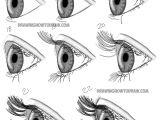 Drawing Eye Tips How to Draw Realistic Eyes From the Side Profile View Step by Step
