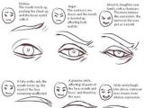 Drawing Eyes On Eyelids Pin by Elizabeth Cupal On My Drawing Stuff Drawings Art Reference