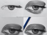 Drawing Eyes Reference Realistic Eye Drawing with Detailed Progression Great Reference and