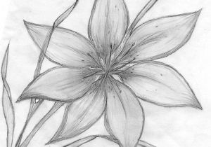 Drawing Flower Hat Credit Spreads In 2019 Drawings Pinterest Pencil Drawings