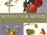Drawing Flowers and Fruits 36 Best Botanical Art Books Images In 2019 Botanical Drawings