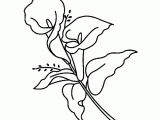 Drawing Flowers and Fruits Flower Coloring Pages 013 Flowers Fruit Garden Building Pics