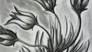Drawing Flowers In Charcoal 57 Best Shading Images Pencil Drawings Cowboy Hats Color Pencil