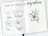 Drawing Flowers Journal How to Draw Perfect Flower Doodles for Bullet Journal Spreads