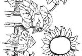 Drawing Flowers Kindergarten 65 Best Digital Flowers Images Flower Designs Sunflowers
