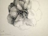 Drawing Flowers On Black Paper tonal Drawing Tutorials Flowers Drawings Graphite Drawings Art