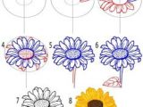 Drawing Flowers On Chart Paper Drawing A Sunflower Draw Pages From thedrawpage Com Pinterest