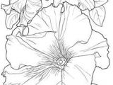 Drawing Flowers On Rocks Pin by Ellen Bounds On Diamonds In the Rough 3 Flowers Rock