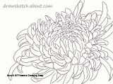 Drawing Flowers Picture Hd Bunch Of Flowers Drawing Easy S S Media Cache Ak0 Pinimg originals
