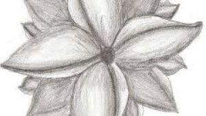 Drawing Flowers with Charcoal Image Result for Easy Sketches Of Flowers Drawing Pinterest