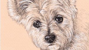 Drawing for Dog Lovers Lisa Creative Lab Custom Pet Portrait From Photo Dog Portrait