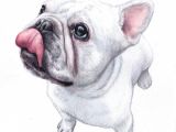 Drawing for Dog Lovers Lisa Creative Lab Watercolor Custom Pet Portrait Dog Portrait