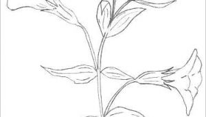 Drawing for Flowers Picture Bunch Of Flowers Drawing Easy S S Media Cache Ak0 Pinimg originals