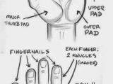 Drawing Hands Lessons the Structure Of Hand Study Realistic Hyper Art Pencil Art 3d