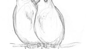 Drawing Ideas Birds Image Result for Drawing Ideas for Beginners Birds Pencil